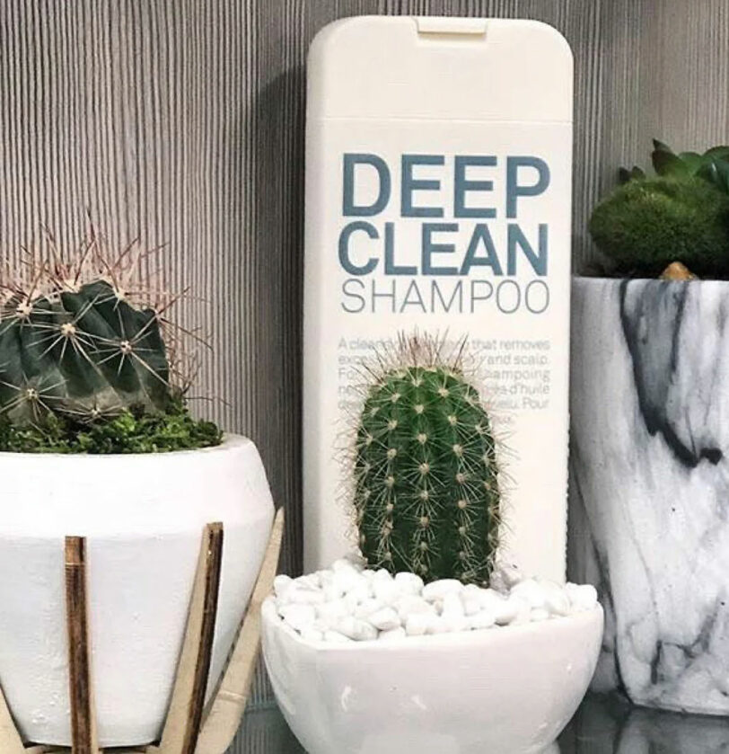 Champú purificante limpieza profunda para acumulación y grasa DEEP CLEAN de Eleven Australia